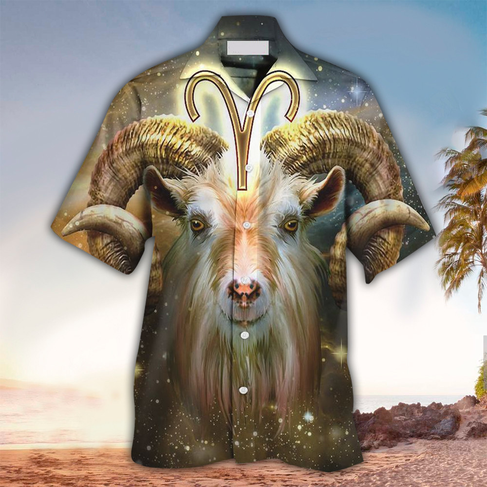 Aries Apparel Aries Button Up Shirt For Men and Women