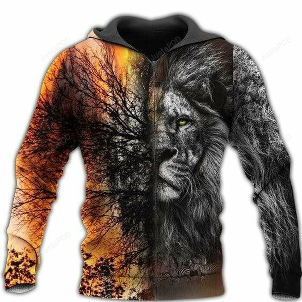 Beautiful Lion Scenery 3d All Print Hoodie