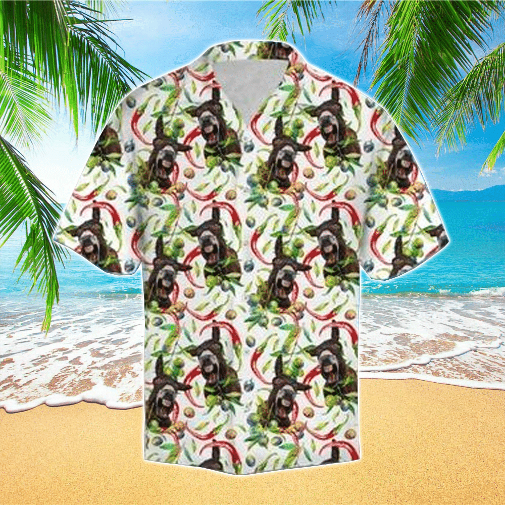 Donkey Chili Hawaiian Shirt for Men and Women