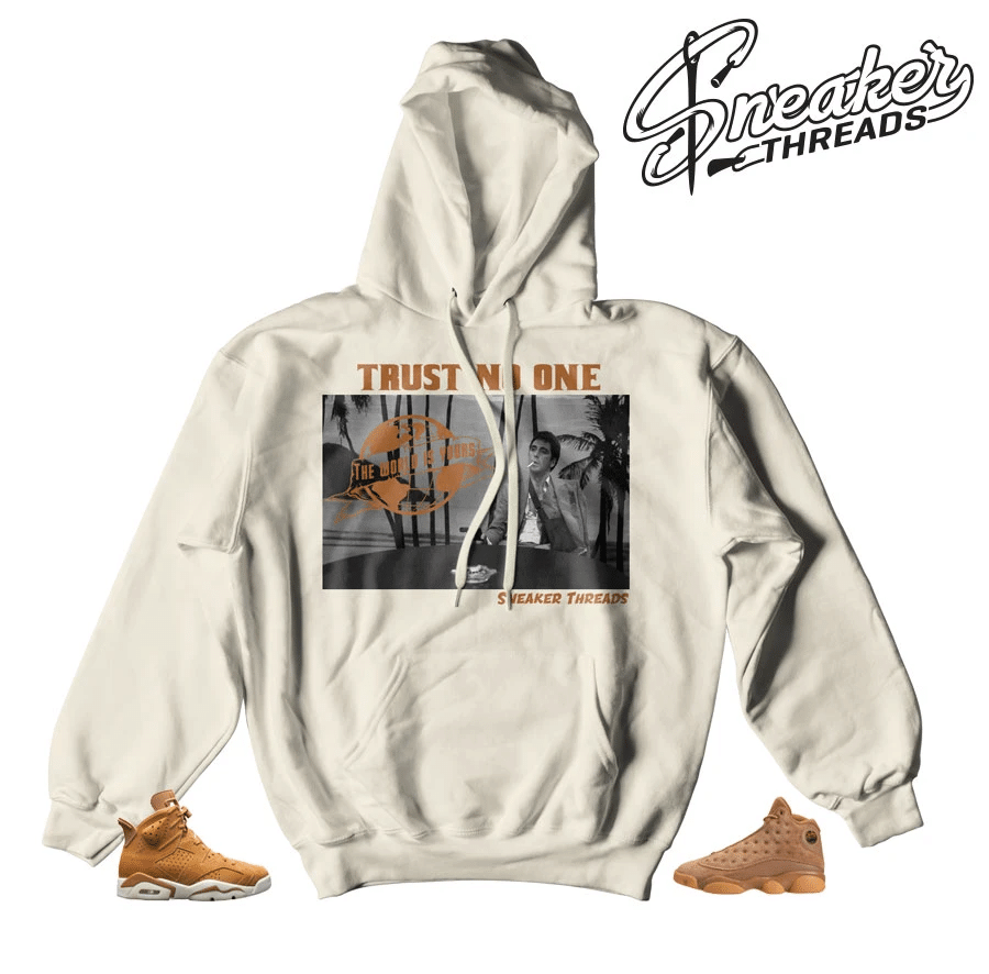 Jordan Retro Wheat Tony Knows Hoodie Outfit