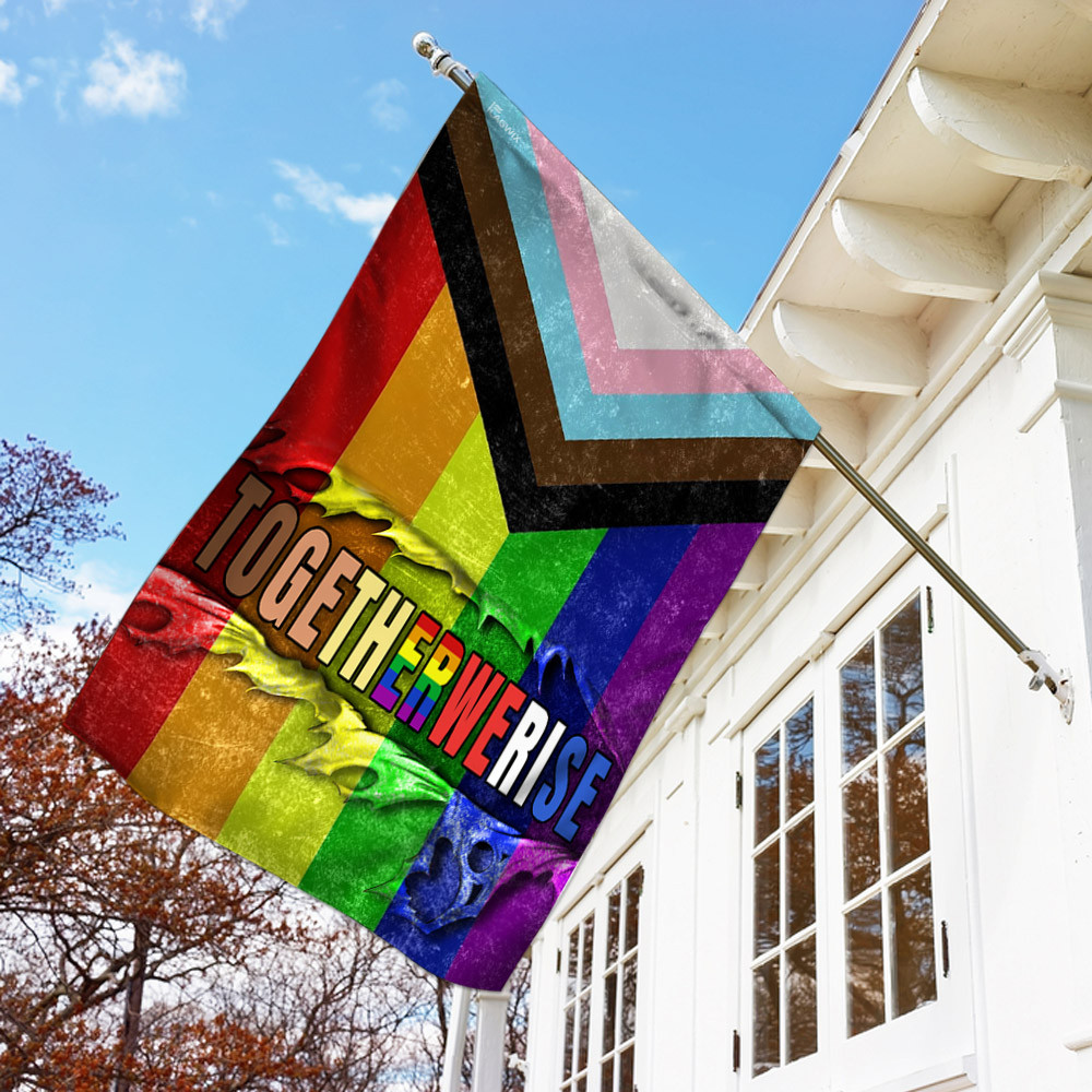 LGBT Progress Pride Flag Diversity Flag Pride Gay Pride Lesbian Flag
