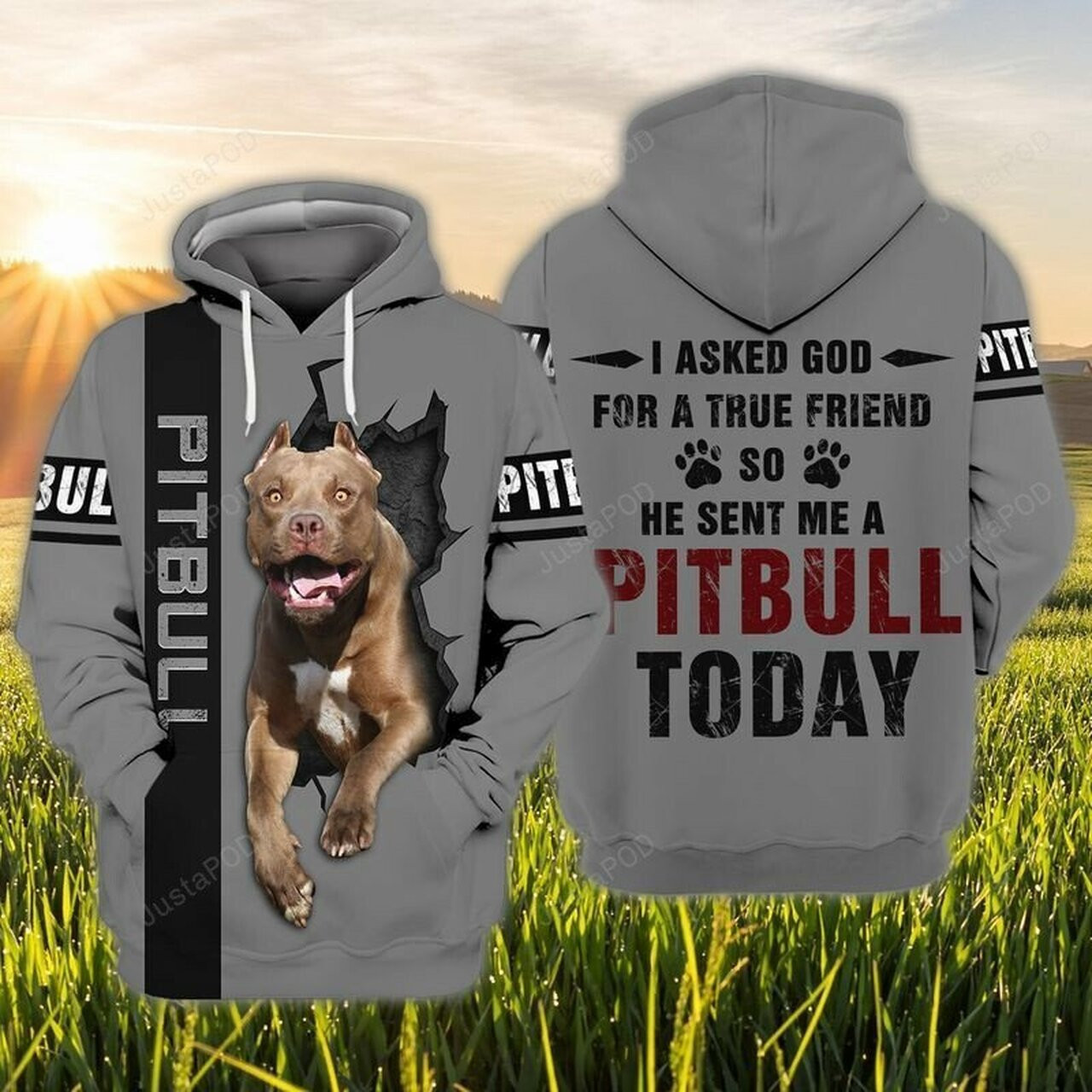 Love Pitbull 3d All Over Print Hoodie