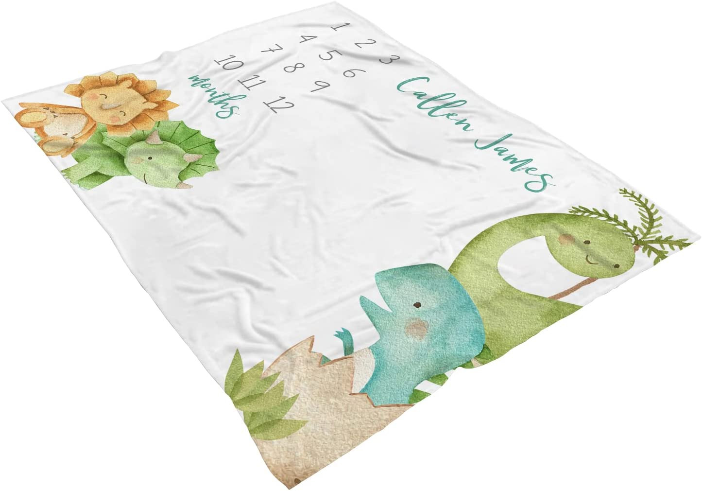 Newborn Baby Boy Dinosaur Gift