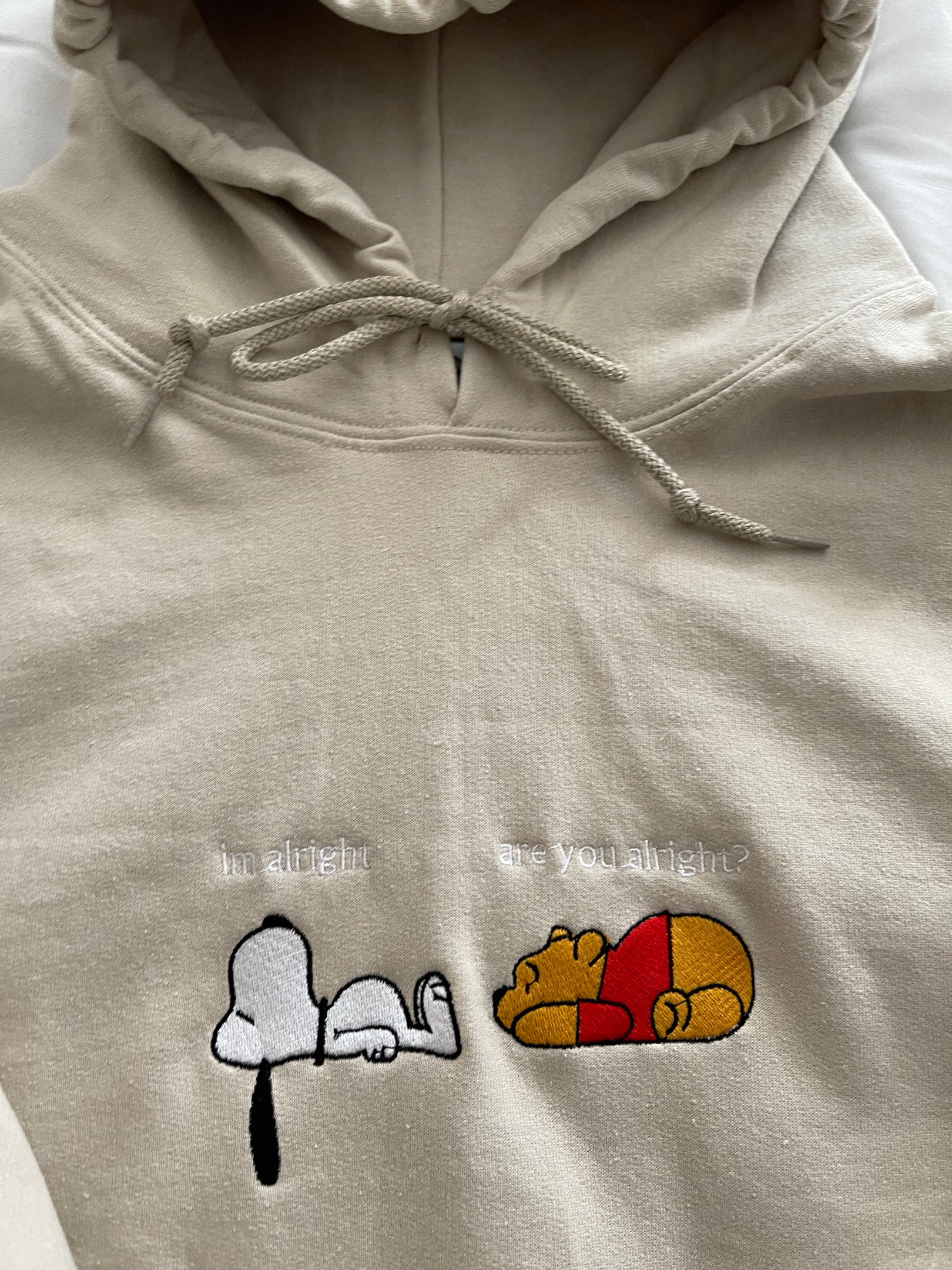 Snoopy X Winnie Embroidered Hoodie