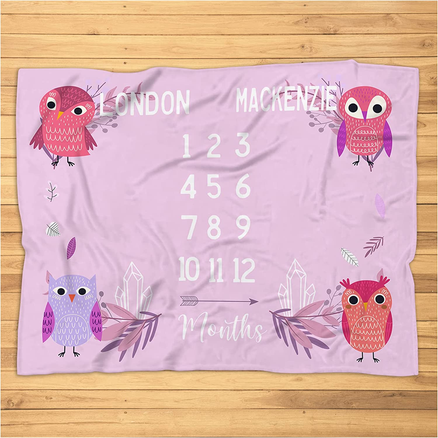 Twin Girls Milestone Blanket - Personalized Pink Twins Monthly Blanket with Owls - Twin Photo Prop - Custom Monthly Growth Track Blanket - Super Soft Plush Blanket for Baby