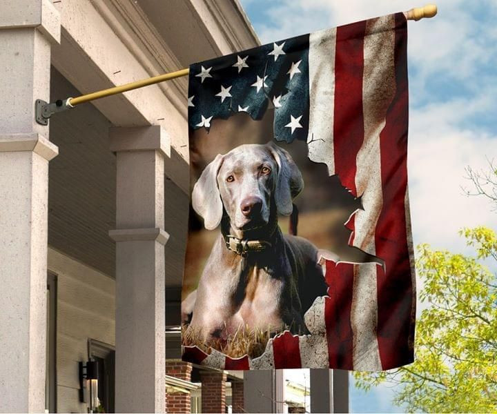 Weimaraner American Flag  Garden Flag House Flag