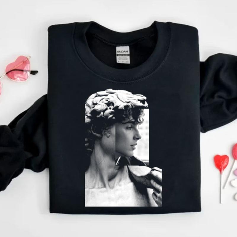 Blach And White Statut Of David Saint Timothee Chalame Shirts