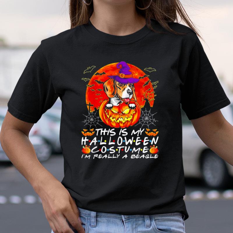 Halloween Costume I'm Really A Beagle Dog Pumpkin Shirts