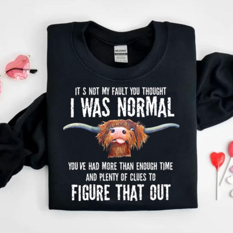 It's Not My Fault You Thought I Was Normal You've Had More Than Enough Time Shirts