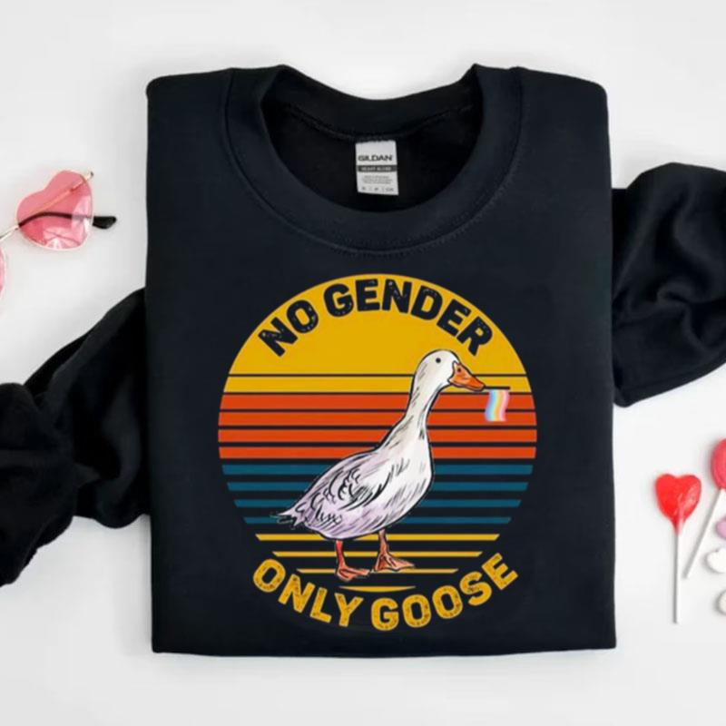 No Gender Only Goose Gender Neutral Pride Flag Vintage Shirts
