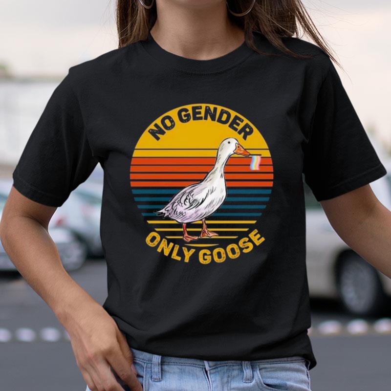 No Gender Only Goose Gender Neutral Pride Flag Vintage Shirts