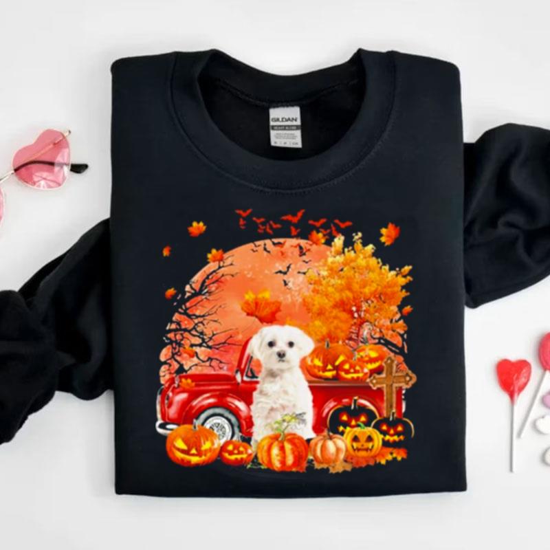 White Maltese Dog Hollowed Pumpkin Moon Shirts