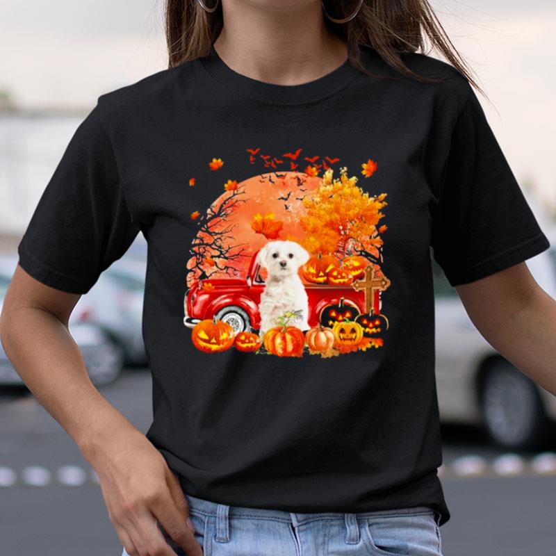 White Maltese Dog Hollowed Pumpkin Moon Shirts